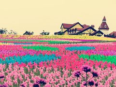 -歌斐颂巧克力小镇