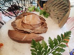 冰镇鲜鲍鱼-蝶园·装修中(BFC外滩金融中心店)