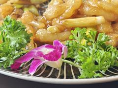 -喜乐餐厅•灯笼虾球首创者•本地小海鲜(二马路店)