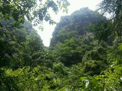 android_upload_pic-碧峰峡风景区