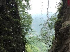 -塔云山