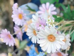 -常熟路(地铁站)