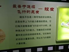 -上海昆虫博物馆