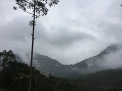 -盐洲岛