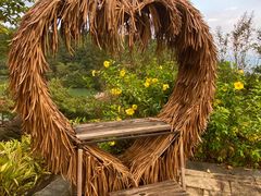 -广州白江湖森林公园