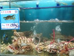 水产区-南海渔家•海鲜•正宗海南菜(海棠湾店)