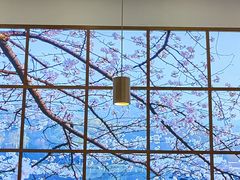 -铁锅年代地锅鸡•铁锅炖大鹅(黄家湖店)