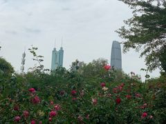 -人民公园(罗湖区)