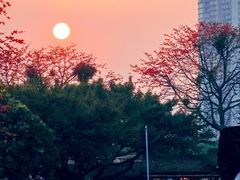 -喜洲吧·江畔老船厂·庭院餐厅(喜临院店)
