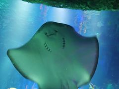 -沈阳海洋探索中心