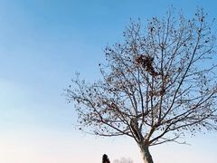-钟山体育运动公园