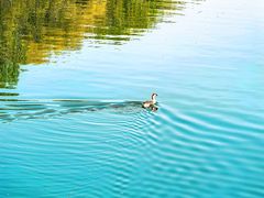 -西安汉城湖景区