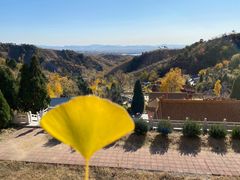 -遵化市禅林寺古银杏风景园