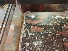 -荆九爷爆炒桥头三嫩(夫子庙店)