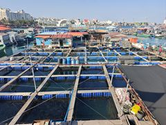 -蓝湾碧波·老字号·疍家非遗海上餐厅