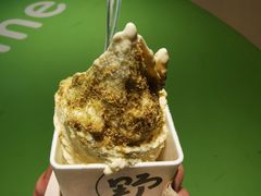 -野人先生现做冰淇淋(北京悠唐购物中心店)