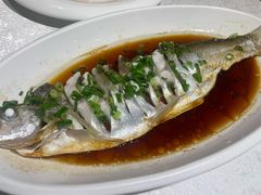 豉油蒸白水鱼-金美华轩(东方路齐鲁店)