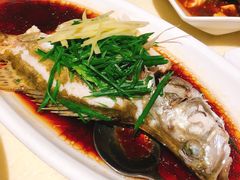 -龙记烧腊茶餐厅(常德路店)