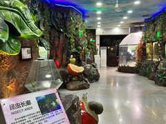 -上海大自然野生昆虫馆(东方明珠·爬宠昆虫探索中心)