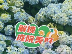 -顺峰山公园