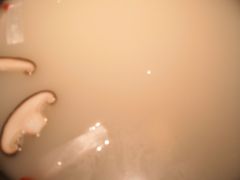 -彤德莱(青岛人民路店)