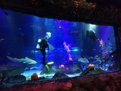 -沈阳海洋探索中心