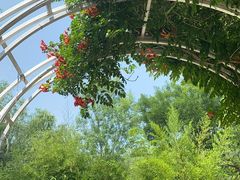 -南宫五洲植物乐园