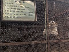 -昆明动物园