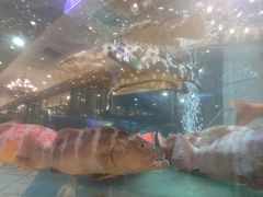 -金翠皇宫粤菜·点心·海鲜(科技园店)