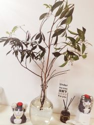 -美肤盾祛痘·问题肌头疗管理中心