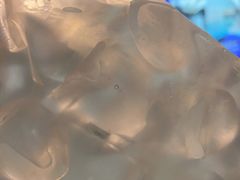-上海金桥红枫万豪酒店-万豪中餐厅