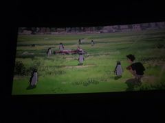 -武汉华夏国际影城(鲁广店)