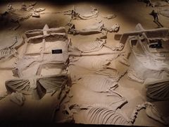 -洛阳周王城天子驾六博物馆