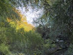 -藏龙百瀑风景区