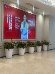 -Yestar重庆艺星医疗美容医院