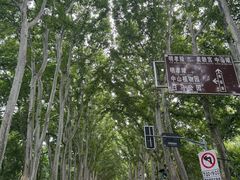 -杨氏青龙虾·羊蝎子(金盛路总店)