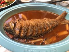 -阿五黄河大鲤鱼(英协路店)