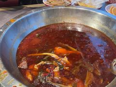 -蜀滋香鲜鱼美蛙火锅(339店)