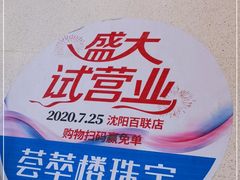 -沈阳百联购物中心(青年大街店)