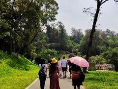 -广州雕塑公园