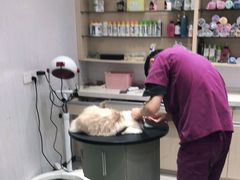 -宠颐生动物医院·小陆分院