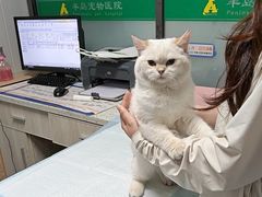 -半岛宠物医院24小时(科华中路店)