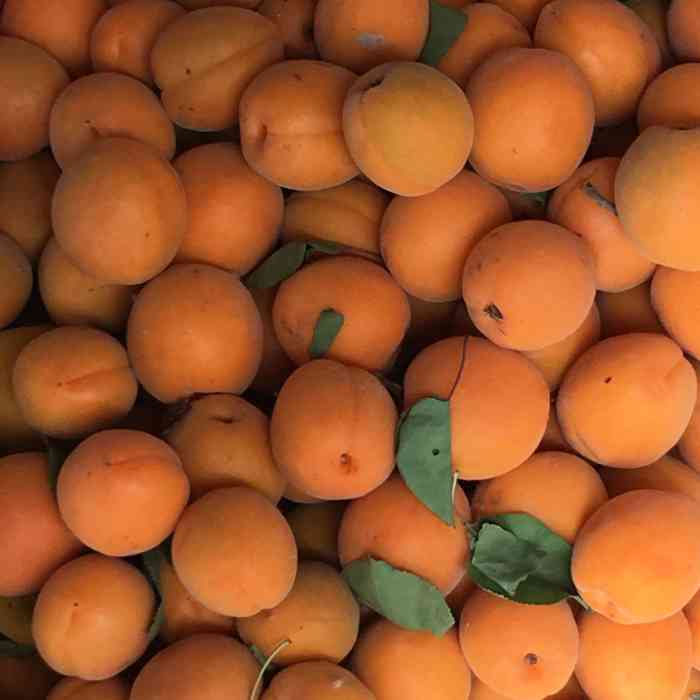 西门水果行-"位置:这个水果店就在华师西门进去的位置,.