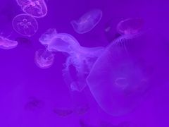 -沈阳海洋探索中心