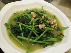 -琼菜王(南海店)