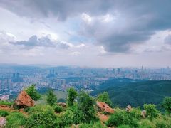 -长虫山生态公园风景林