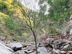 -黑龙潭风景区