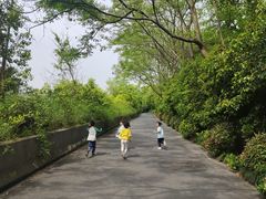 -西湖风景区-江洋畈生态公园