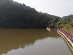 -黄埔油麻山森林公园