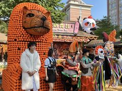 -灵玲国际马戏城